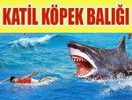 Katil Köpek Balığı Oyna