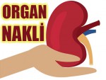 Organ Nakli Ameliyatı Oyna