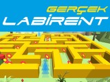 Gerçek Labirent Oyna