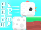Square Bird Oyna