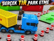 Gerçek Tır Park Etme