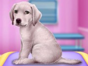 Köpek Doktoru Oyna