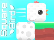 Square Bird Oyna