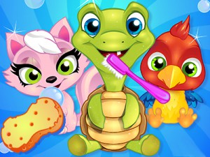 Hayvan Temizleme Oyunu Oyna