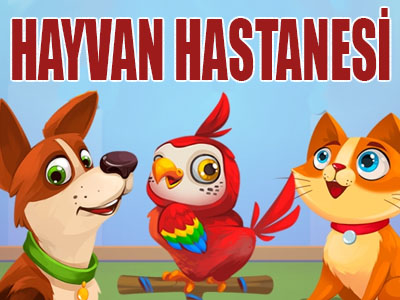 Evcil Hayvan Hastanesi